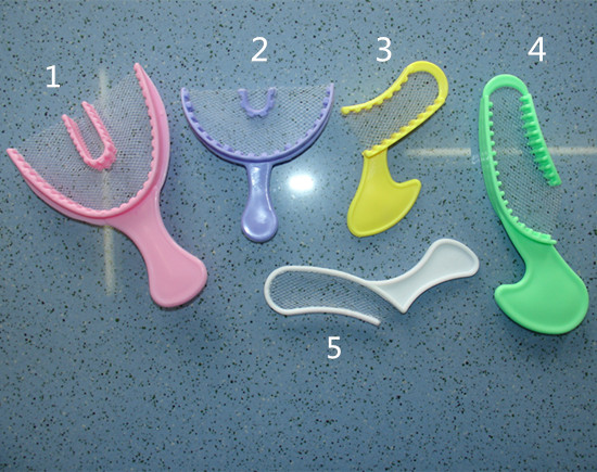 Dual-Arch Mesh Bite Tray